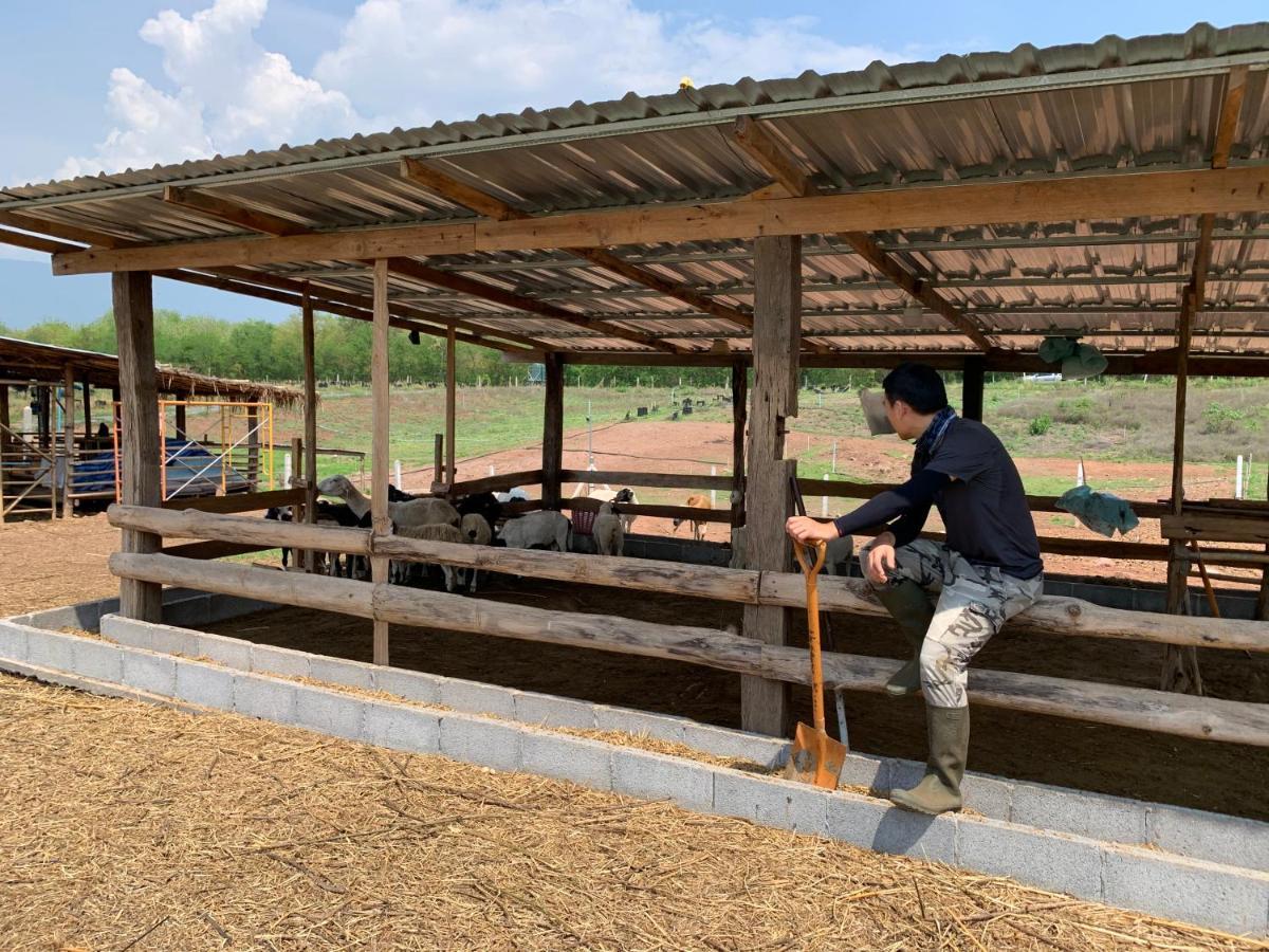 ฟาร์มแกะภูกระดึง Waraporn Valley Ban Nong Tum Eksteriør billede